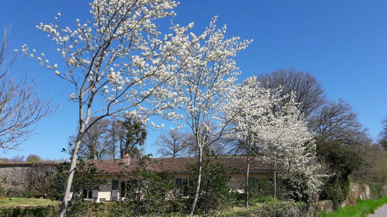 Thauron Abbaye Du Palais B&B 외부 사진